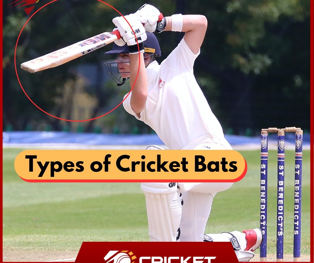 Types of Cricket Bats in Hindi | क्रिकेट बैट के प्रकार   Types of Cricket Bats in Hindi | क्रिकेट बैट के प्रकार