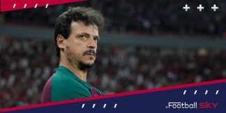 फर्नांडो डिनिज़ फुटबॉल के सबसे विक्यात कोचों मे एक  