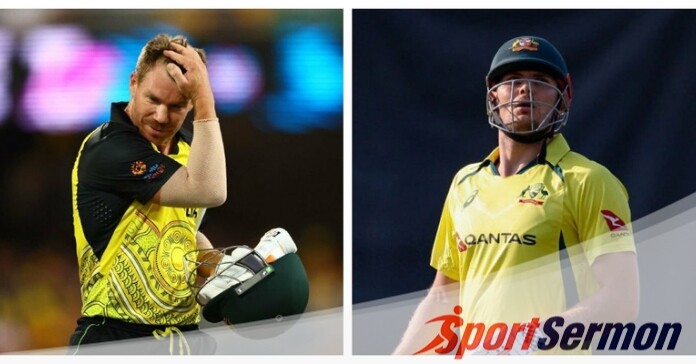 David Warner Withdrawn from T20 Series After World Cup Win  