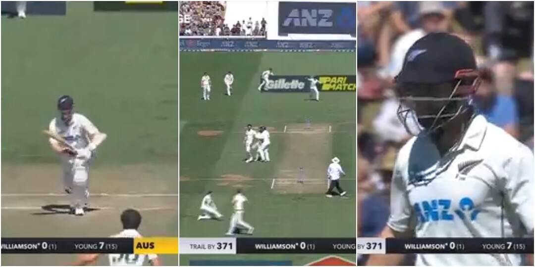 Watch Kane Williamson Run Out in Bizzare Collision   Watch Kane Williamson Run Out in Bizzare Collision