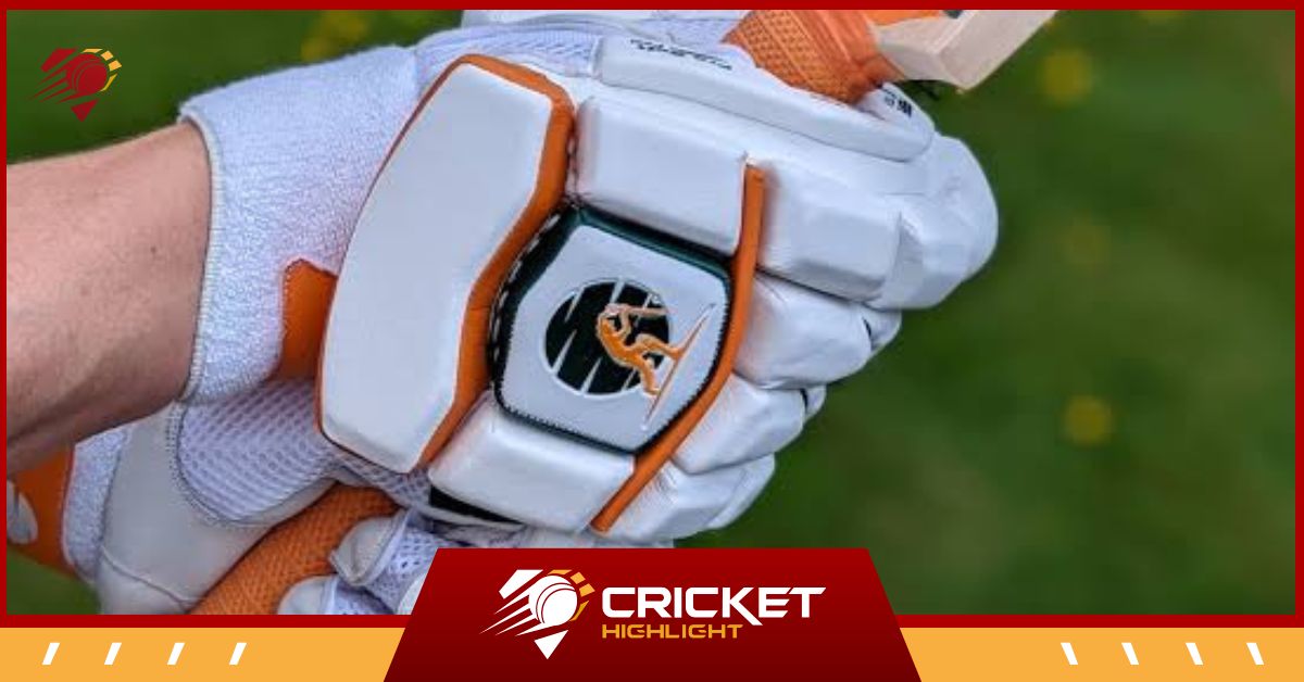 Cricket Gloves के Types क्या होते है? डिटेल में जानिए सबकुछ   Cricket Gloves के Types क्या होते है? डिटेल में जानिए सबकुछ
