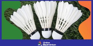 Best Shuttlecocks:ये हैं भारत में मिलने वाली बेस्ट शटलकॉक्स  