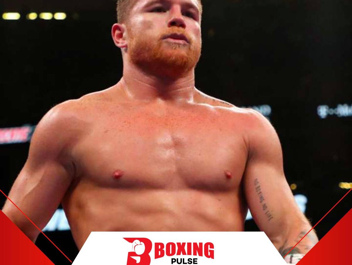 Canelo Alvarez next fight: अल्वारेज़ Cinco de Mayo के मुकाबले   Canelo Alvarez next fight: अल्वारेज़ Cinco de Mayo के मुकाबले