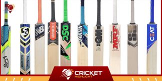 Top Cricket Bat Companies: भारत में क्रिकेट बैट कंपनियाँ  