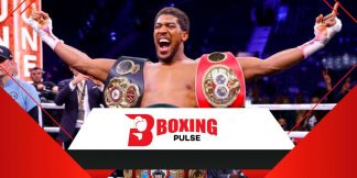 Undisputed Boxing Champion | निर्विवाद बॉक्सिंग चैंपियन  