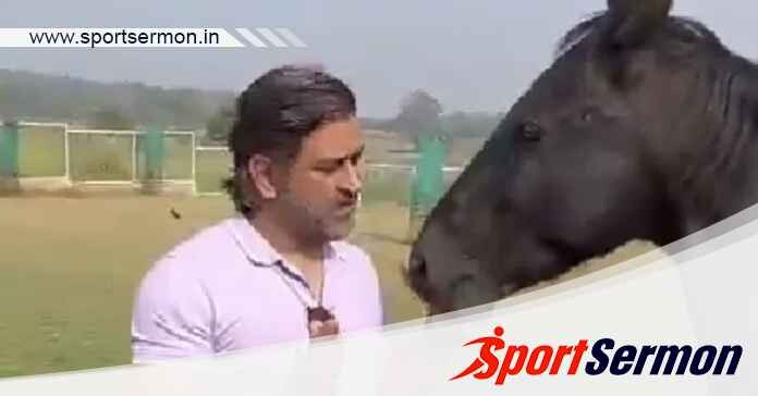 Ace cricketer MS Dhoni enjoys with horse on his time-off!  