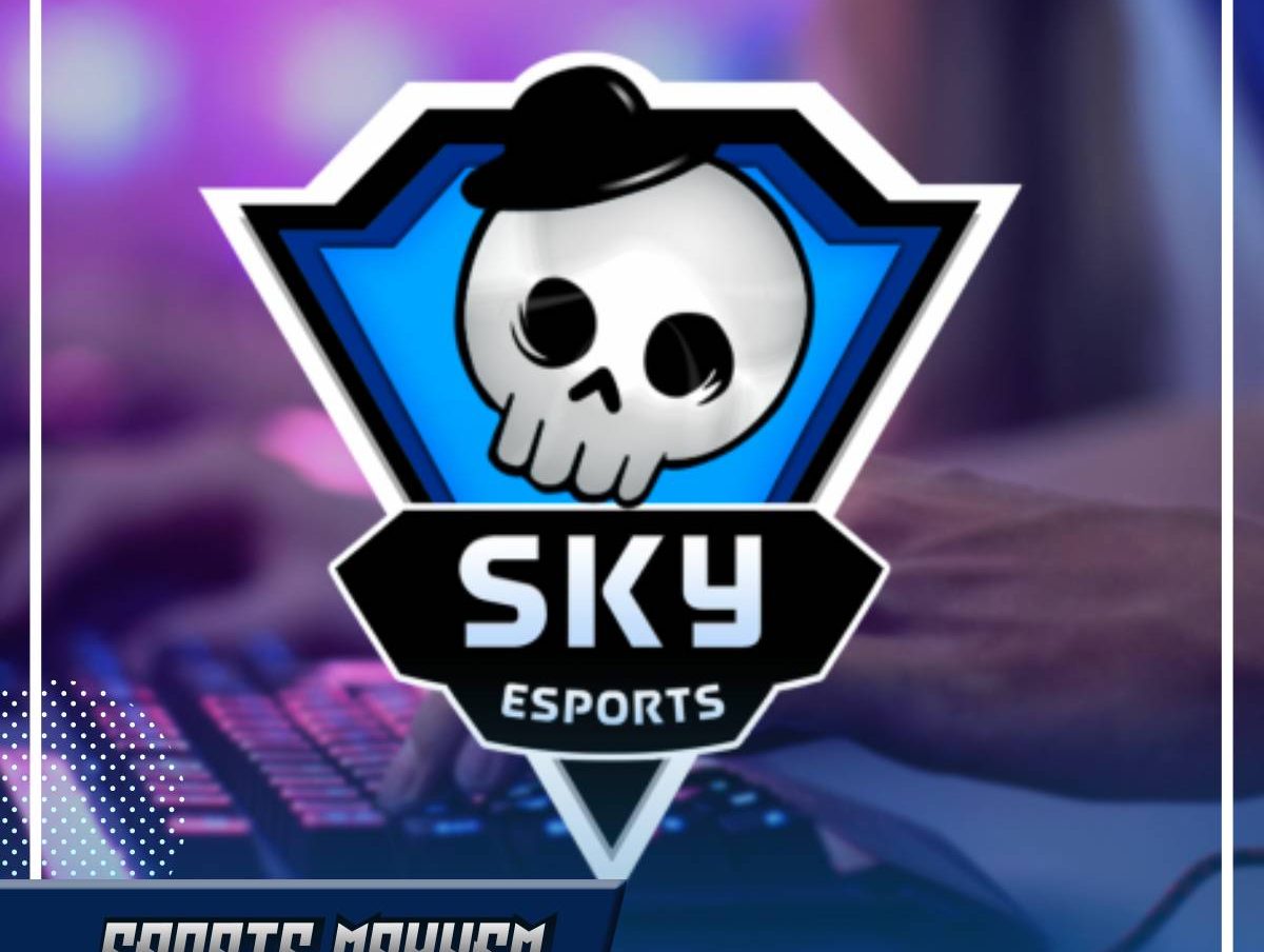 Skyesports CEO Tweet: भारतीय Esports को चिंतित करता ट्विट  