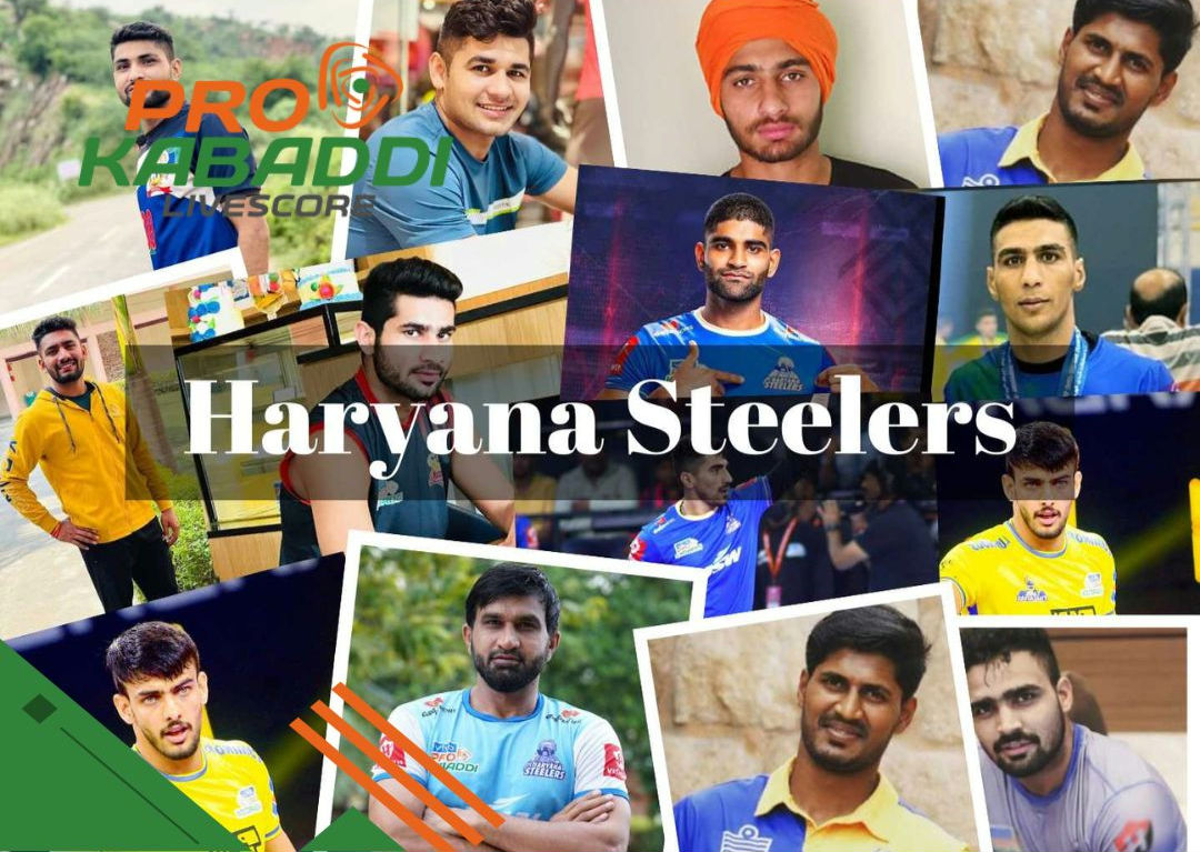 Pro Kabaddi 10: Haryana Steelers के Owners कौन है?  