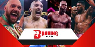 Heavyweight Series: महामुकाबले के दावेदार Fury, Joshua, Wilder, Usyk  