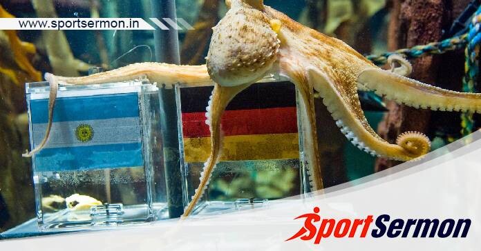 How do you predict football results?  