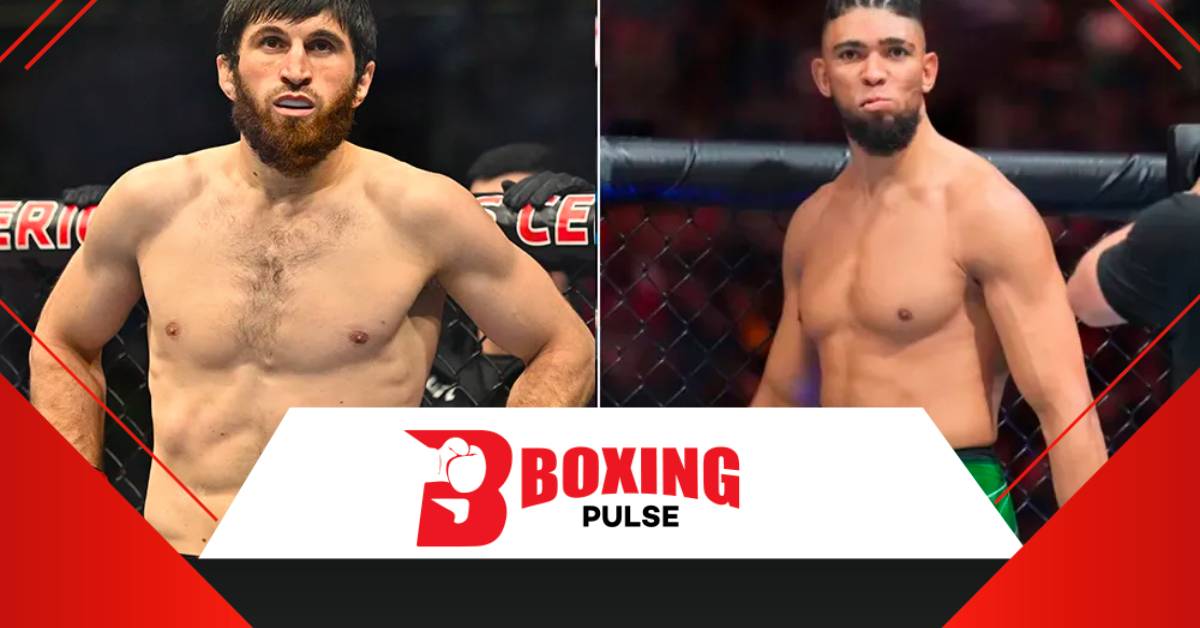 Magomed Ankalaev vs Johnny Walker: तारीख और भविष्यवाणियां  