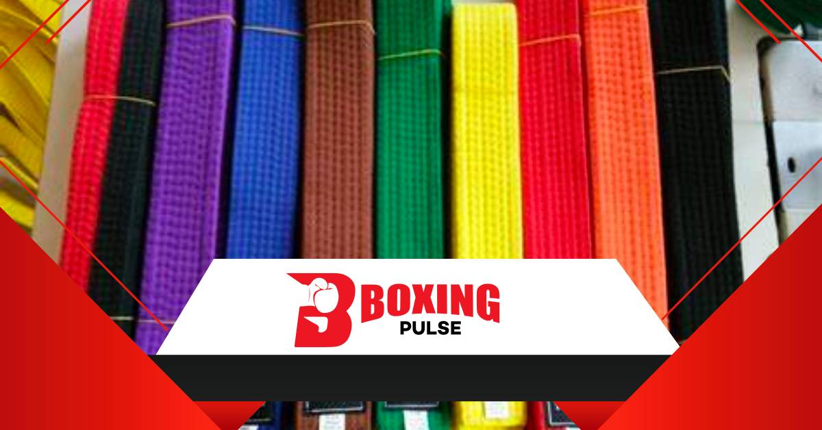 Martial Arts Belts Colors का क्या मतलब होता है, यहां जानिए  