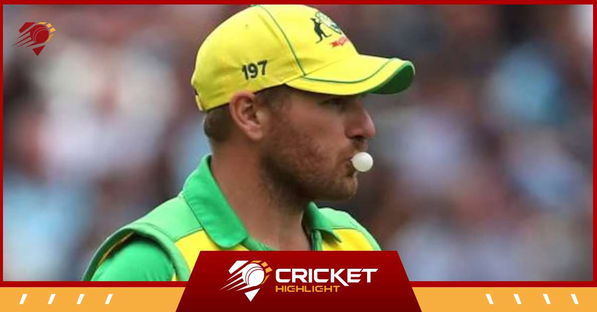 Cricketers Chew Gum: खिलाड़ी च्युइंग गम क्यों चबाते है?  