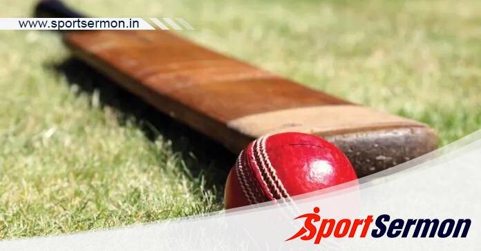 Step by Step Guide On How Cricket Bats Are Made   Step by Step Guide On How Cricket Bats Are Made