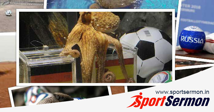 Predictions From Animals That Have Gone Viral in the World  