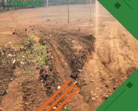 भिलाई के मैदानों में घूम रहे मवेशी, हर खिलाड़ी है परेशान  