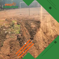 भिलाई के मैदानों में घूम रहे मवेशी, हर खिलाड़ी है परेशान  