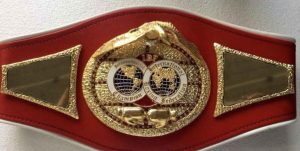 How many boxing titles are there? Explained in detail!  