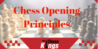 Chess Openings in Hindi । शतरंज के ओपनिंग सिद्धांत  