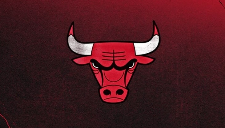 10 Facts About Chicago Bulls That NBA Fans Should Know  