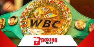 क्या फ्रांसिस नगनौ का नाम WBC रैंकिंग मे आ चुकी है या नही  