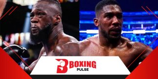 लोग हेवीवेट डिविजन मे नॉक आउट देखने आते हैं बोले वाइल्डर  