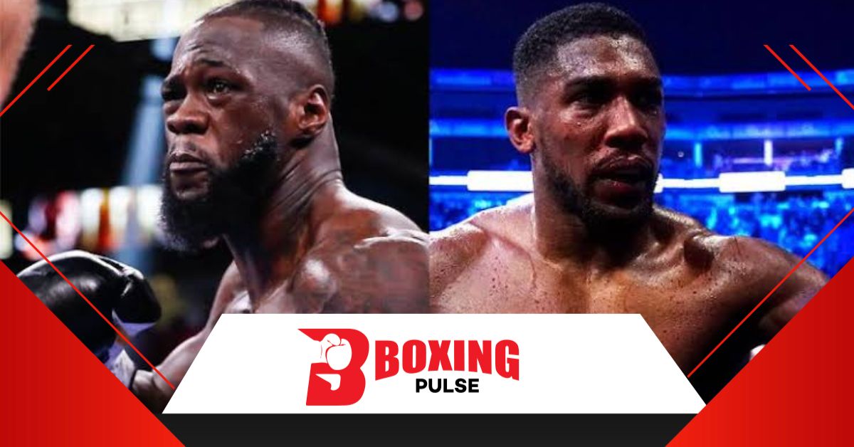 लोग हेवीवेट डिविजन मे नॉक आउट देखने आते हैं बोले वाइल्डर  