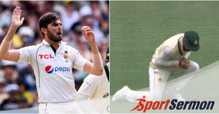 Pakistan Fielding Flaws Fuel Onslaught from Australia  