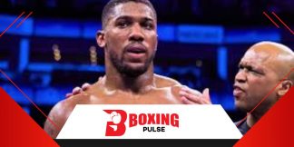 हर्न ने कहा जोशुआ बड़े फाइट करना चाहते है  