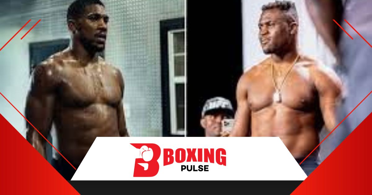 जोशुआ और नंगानौ के मुकाबले की पेशकश दी जा सकती है  