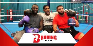 टाइटल एलिमिनेटर मे आया जोशुआ और बकोले का नाम  