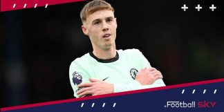 क्या पालमर का सही इस्तेमाल किया जा रहा है  