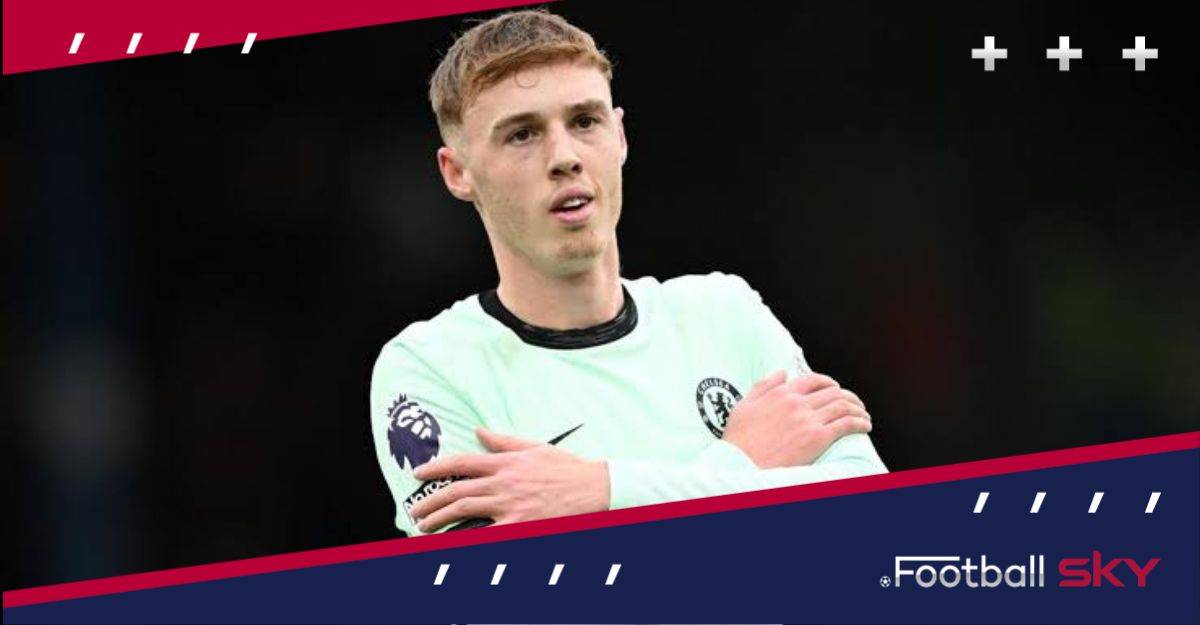 क्या पालमर का सही इस्तेमाल किया जा रहा है  