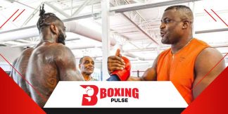 वाइल्डर से भी लड़ने की मेरी इच्छा बोले नगुन्नो  