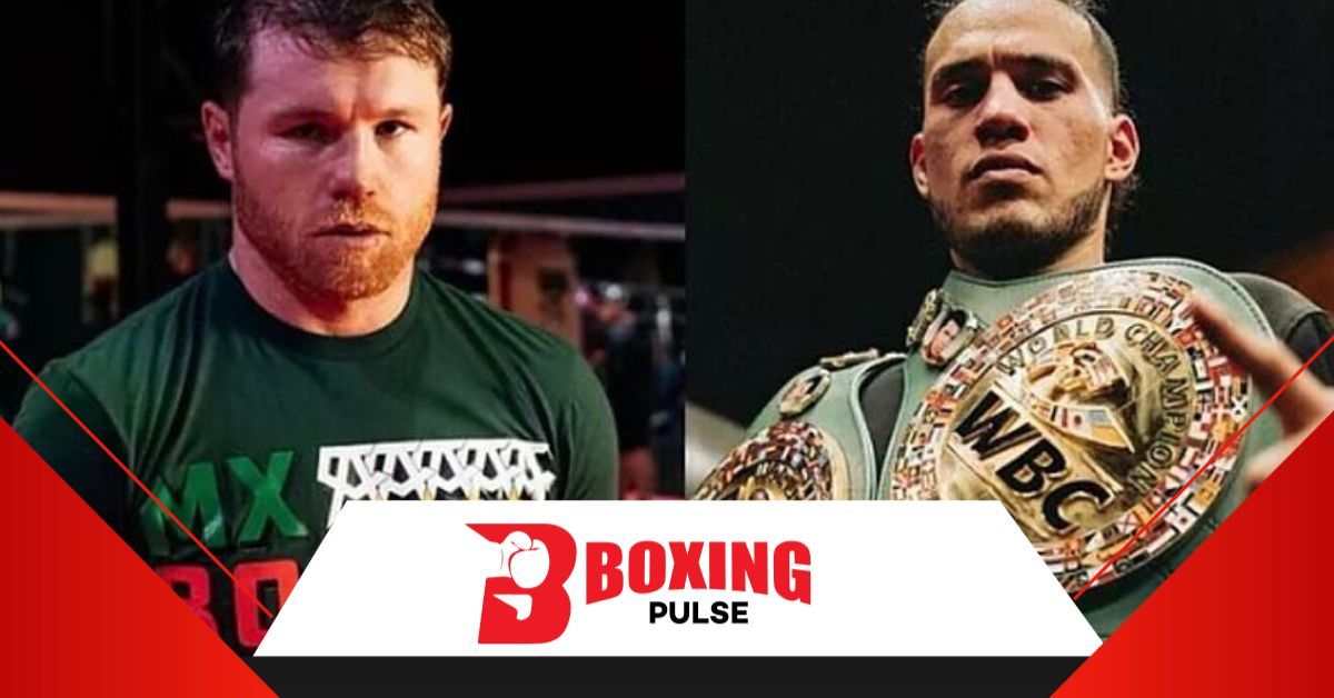 कैनेलो बनाम डेविड बेनाविदेज़ के मुकाबले पर नया प्रयोजन  