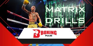 Matrix Boxing Style: लोमाचेंको की मैट्रिक्स बॉक्सिंग शैली  