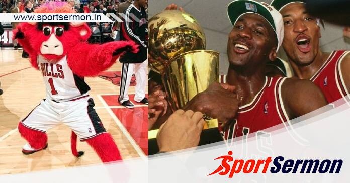 10 Facts About Chicago Bulls That NBA Fans Should Know   10 Facts About Chicago Bulls That NBA Fans Should Know