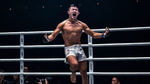 12 MMA Fighters With Insane Muay Thai Techniques  