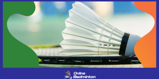 Badminton : ली निंग नंबर 1 बूस्ट एक अच्छी बैडमिंटन स्ट्रिंग है  