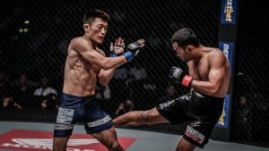 How Many Types of Muay Thai Kicks in MMA?  
