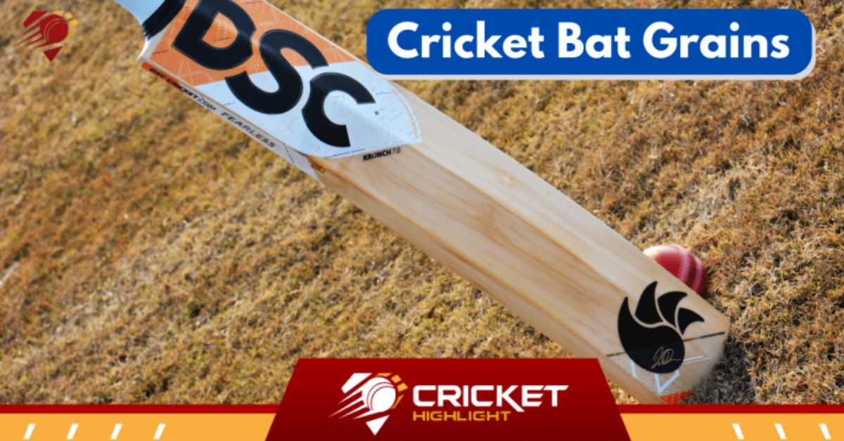क्रिकेट के बल्ले में ग्रेन्स क्या है? | Cricket Bat Grains   क्रिकेट के बल्ले में ग्रेन्स क्या है? | Cricket Bat Grains