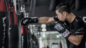 Get to Know Incredible Advantages Of MMA Training  
