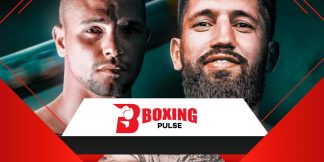 Lerena vs Gashi: अंतरिम WBC खिताब के लिए मुकाबला  