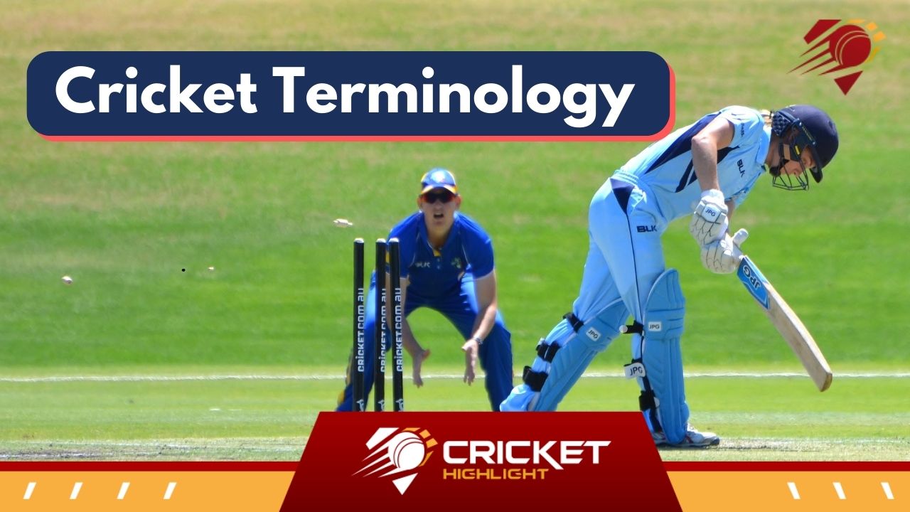 Cricket Terminology in Hindi | क्रिकेट की शब्दावली   Cricket Terminology in Hindi | क्रिकेट की शब्दावली