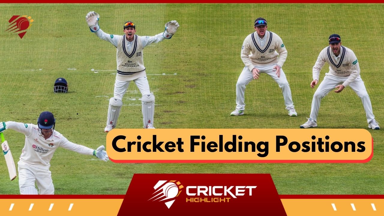 Cricket Player Positions in Hindi | क्रिकेट फील्डिंग पोजीशन   Cricket Player Positions in Hindi | क्रिकेट फील्डिंग पोजीशन