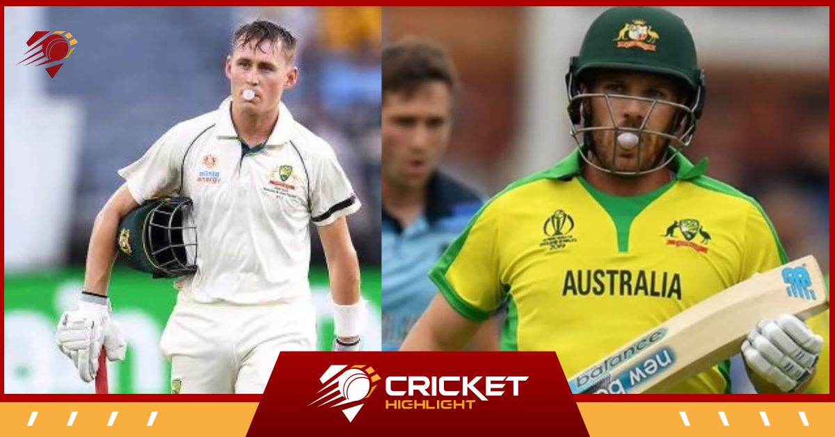 क्रिकेटर मैदान पर च्यूइंग गम क्यों चबाते हैं? वजह है खास  