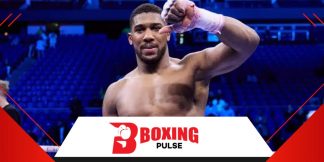 जोशुआ अपना अगला मुकाबला वाइल्डर के खिलाफ लड़ने वाले है  