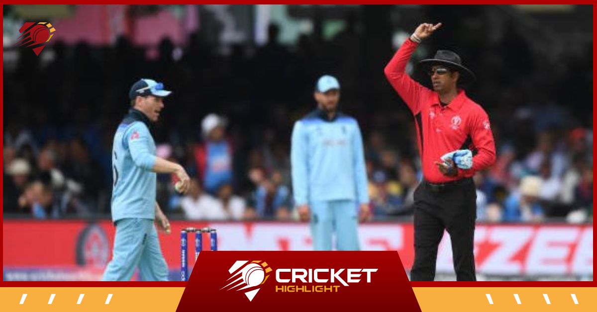 Free Hit Rules in Cricket | क्रिकेट में फ्री हिट क्या है?  