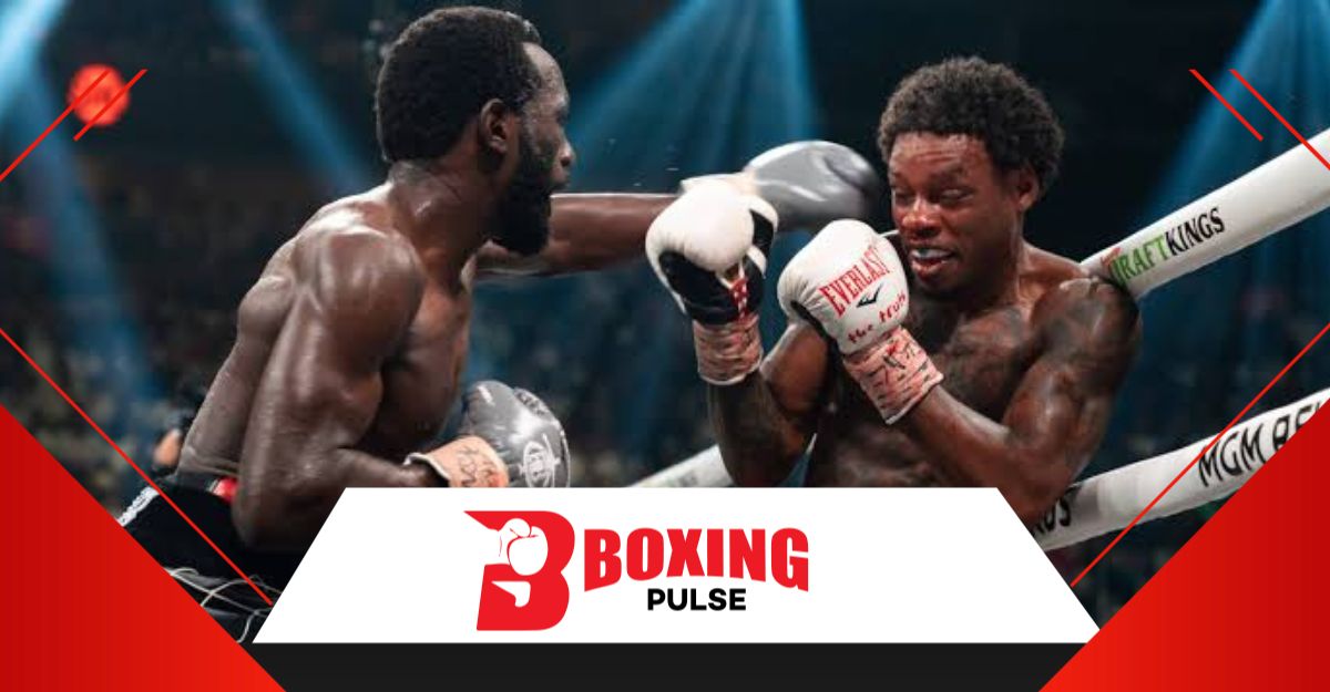 शीलड्स का कहना रीमैच मे भी क्रॉफर्ड ही जीतेंगे   शीलड्स का कहना रीमैच मे भी क्रॉफर्ड ही जीतेंगे