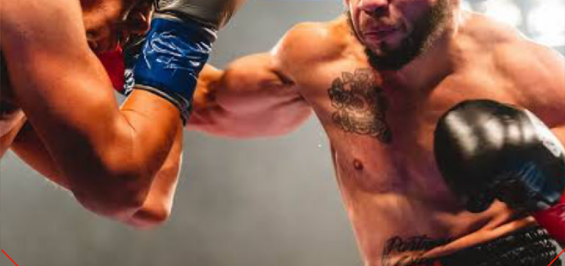 WBC ट्रांसजेंडर बॉक्सिंग कि कटेगॉगरी ला सकती है।  